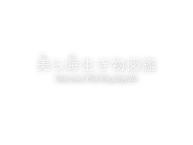 Churaumi Fish picture book 沖縄美ら海水族館で見ることができる生き物を検索。