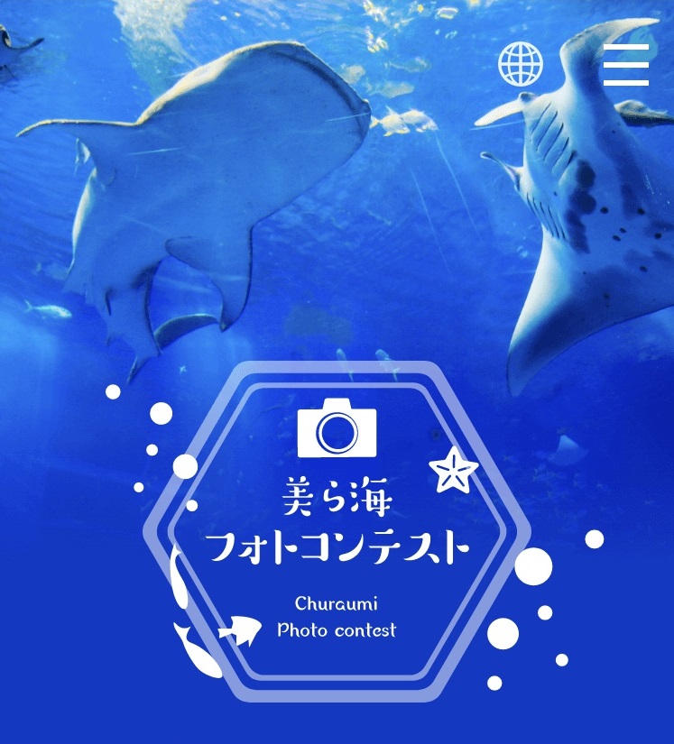 【第2回】美ら海アプリで 「美ら海フォトコンテスト」開催の画像