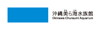To Okinawa Churaumi Aquarium homepage