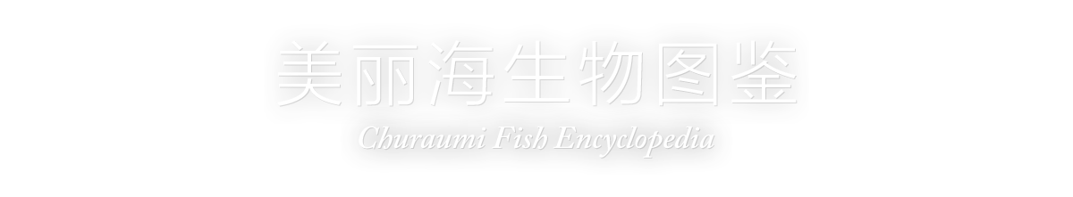 美丽海生物图鉴（Churaumi Fish Encyclopedia）
