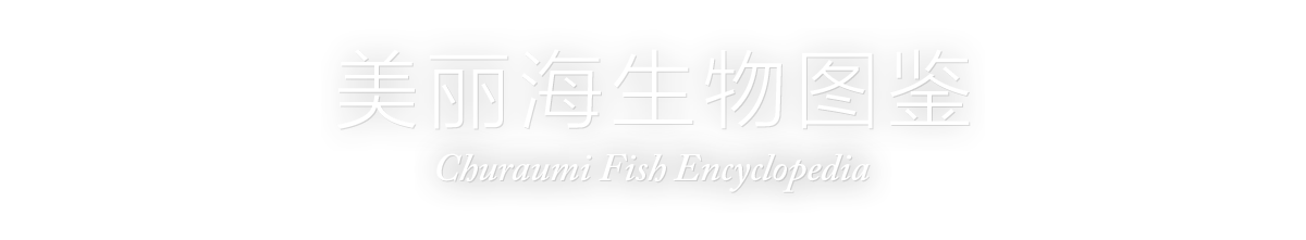 美丽海生物图鉴(Churaumi Fish Encyclopedia)