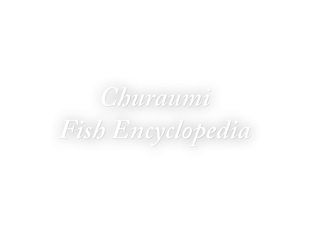 Churaumi Fish Encyclopedia