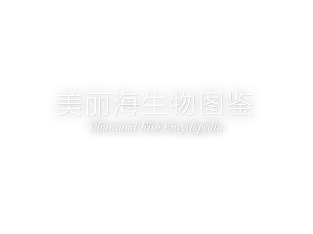 美丽海生物图鉴