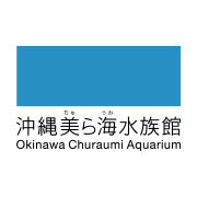 churaumi.okinawa