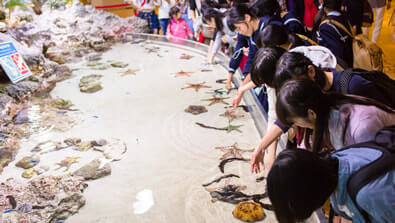 ダウンロード 沖縄美ら海水族館 沖縄の美ら海を 次の世代へ