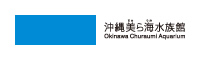 沖縄美ら海水族館