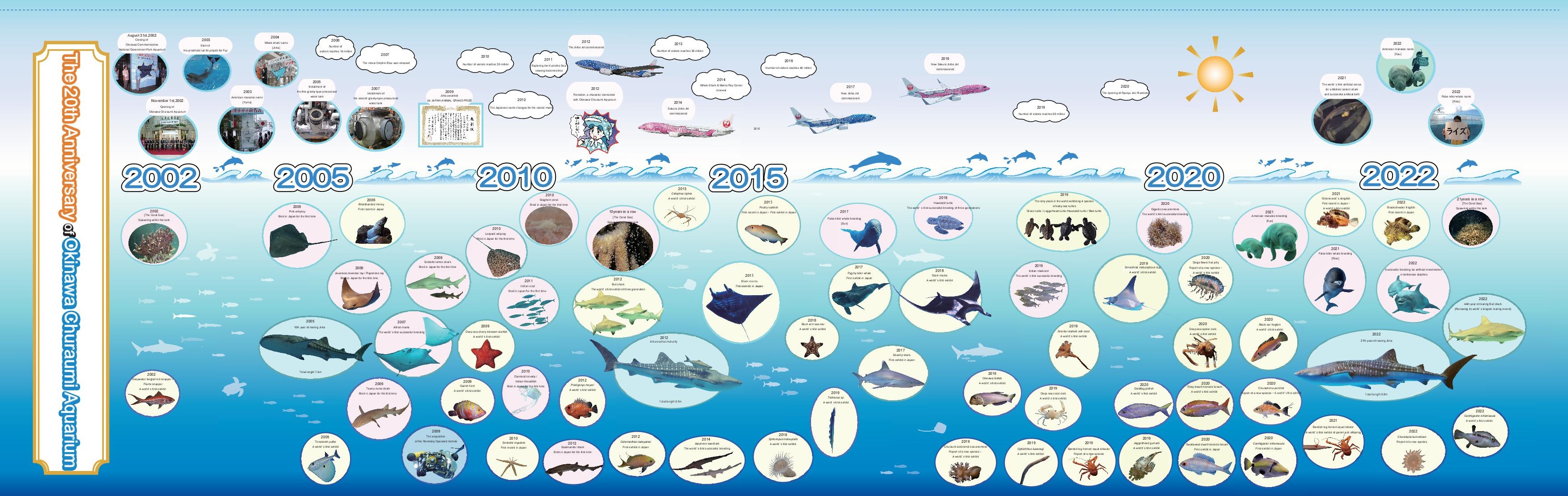 美ら海水族館チケット大人 1枚 2025年9月末日まで - メルカリ