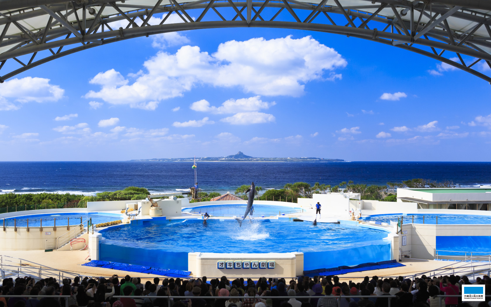 水族館マップ | 沖縄美ら海水族館 - 沖縄の美ら海を、次の世代へ。-