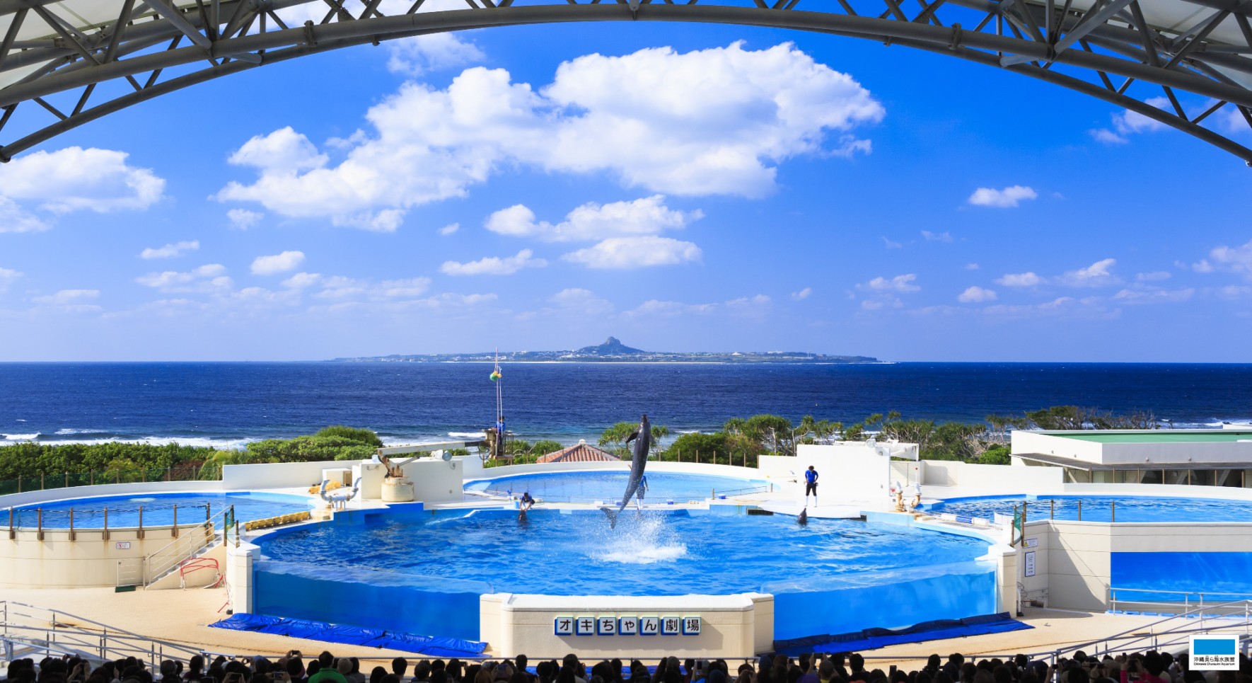 美ら海ハワイページ おすそ分けファイル 糸とじ おすそ分けファイル A4ペーパーを半分折にして 簡単に