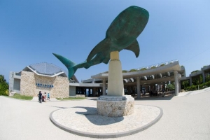 沖縄美ら海水族館で「新しい旅のエチケット啓発キャンペーン」を実施！の画像