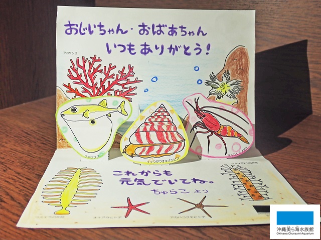 敬老の日は手作りメッセージカードを 美ら海だより 沖縄美ら海水族館 沖縄の美ら海を 次の世代へ
