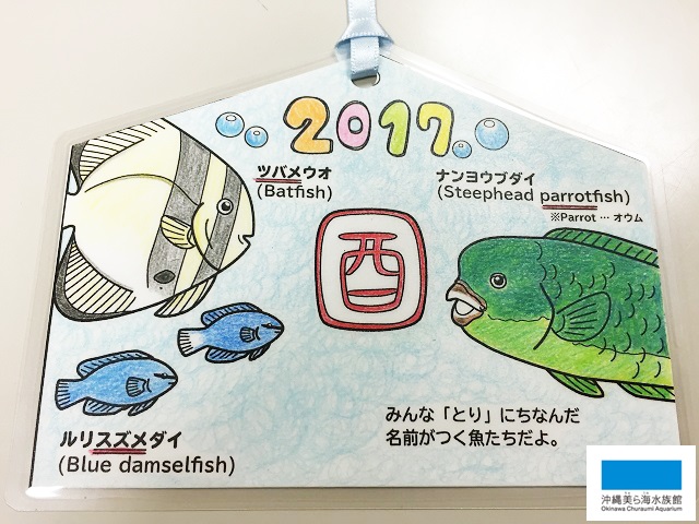 美ら海絵魚作り 美ら海だより 沖縄美ら海水族館 沖縄の美ら海を 次の世代へ