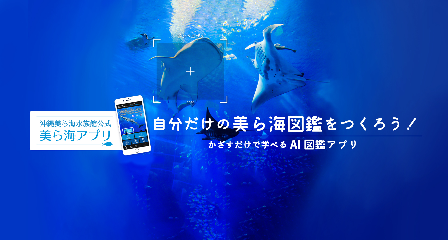 沖縄美ら海水族館 沖縄の美ら海を 次の世代へ