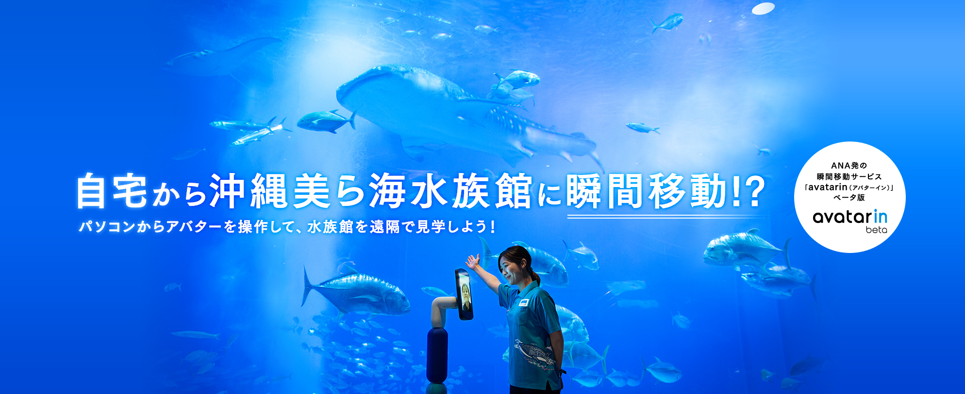 沖縄美ら海水族館 沖縄の美ら海を 次の世代へ