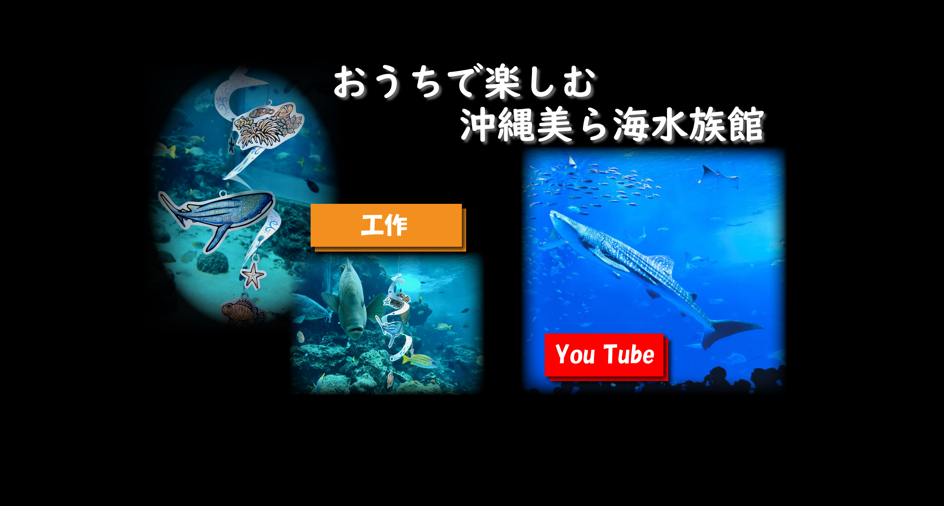 沖縄美ら海水族館 沖縄の美ら海を 次の世代へ