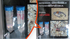 活動の様子