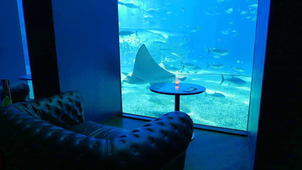 Ocean Blue Cafe Okinawa Churaumi Aquarium For The Next Generation To Inherit The Beautiful Seas Of Okinawa