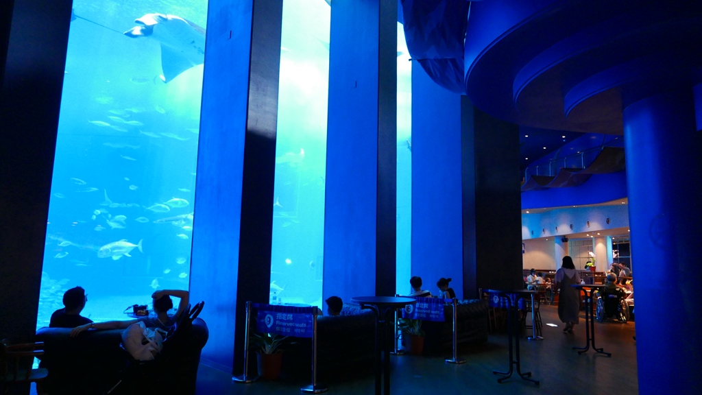 沖繩美ら海水族館 大水槽前的咖啡館享受美妙時光