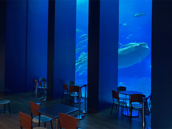 Ocean Blue Cafe Okinawa Churaumi Aquarium For The Next Generation To Inherit The Beautiful Seas Of Okinawa