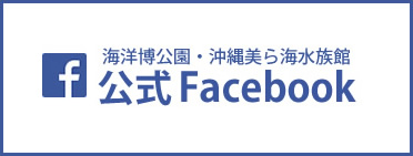 海洋博公園・沖縄美ら海水族館公式Facebook