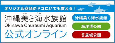 沖縄美ら海水族館公式オンライン