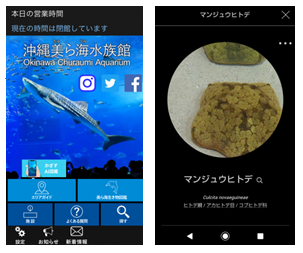 沖縄美ら海水族館公式アプリ　美ら海アプリに「かざすＡＩ図鑑」機能が追加！の画像