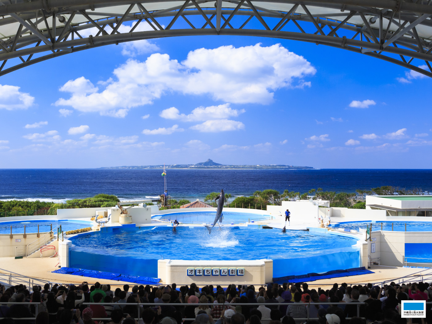 ダウンロード 沖縄美ら海水族館 沖縄の美ら海を 次の世代へ
