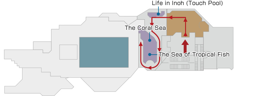 Journey to a Coral Reef Floor Map