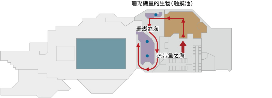 珊瑚礁之旅