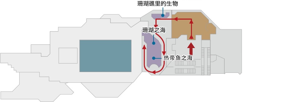 珊瑚礁之旅
