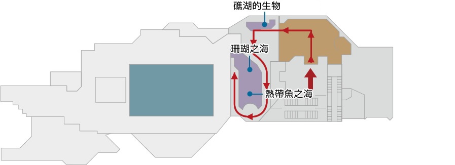 珊瑚礁之旅