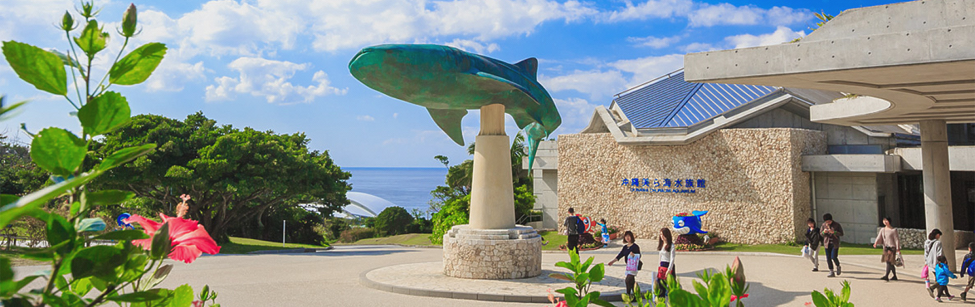 ご利用案内 沖縄美ら海水族館 沖縄の美ら海を 次の世代へ