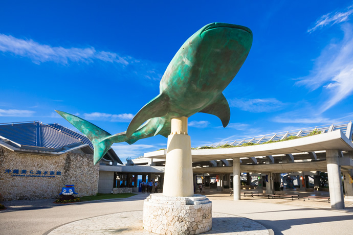 沖縄美ら海水族館到着