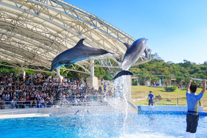 水族館周辺