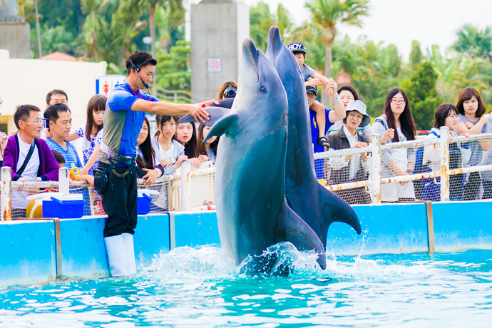 水族館周辺