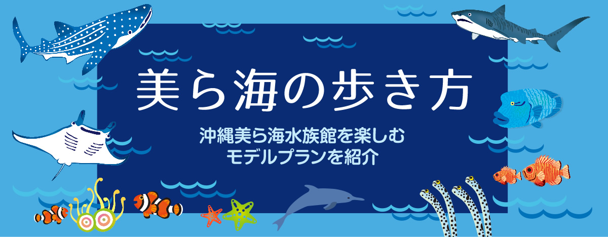 美ら海の歩き方 沖縄美ら海水族館を楽しむ モデルプランを紹介