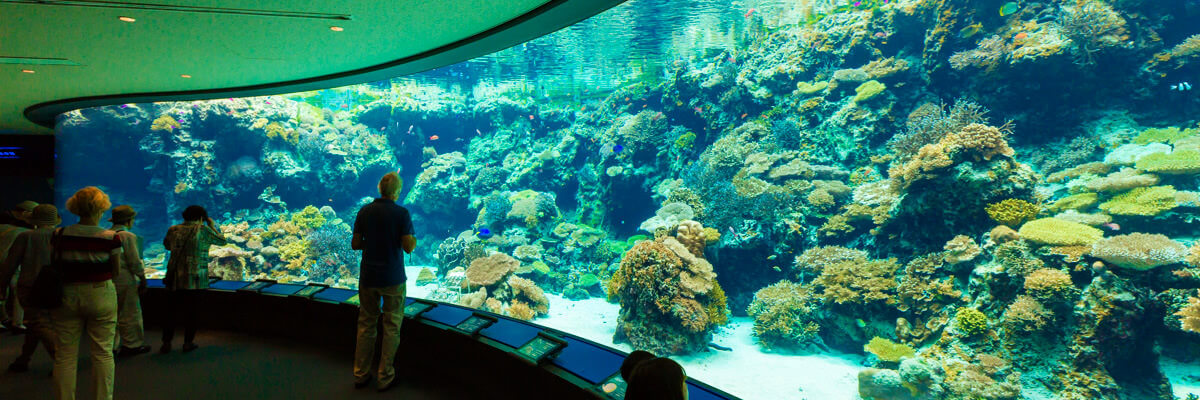 歡迎來到沖繩美麗海水族館 沖繩美麗海水族館 沖繩美麗海世代相傳