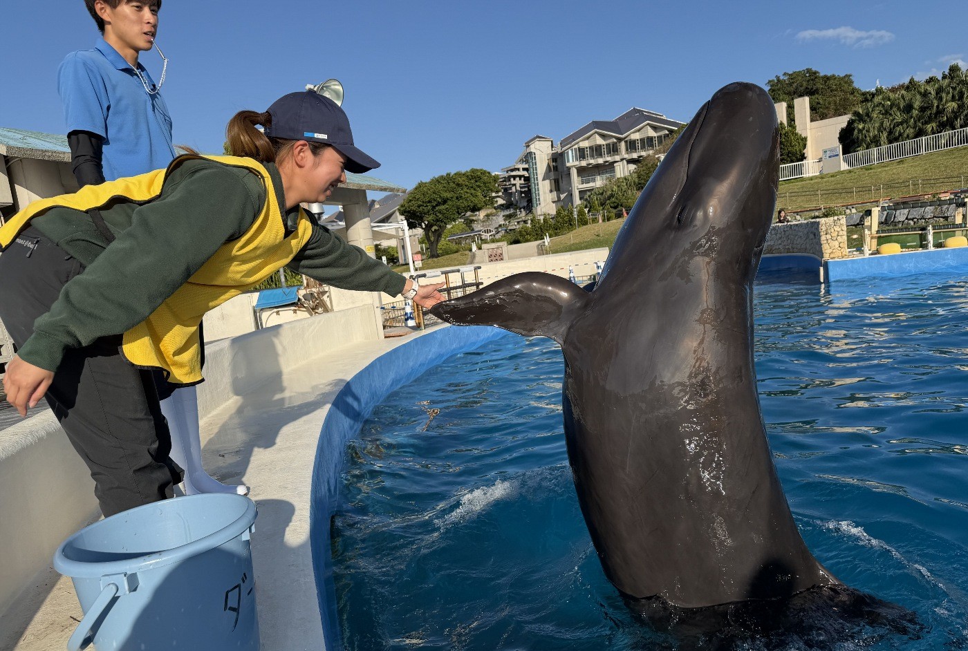 「イルカ体験学習」をバージョンアップ♪♪