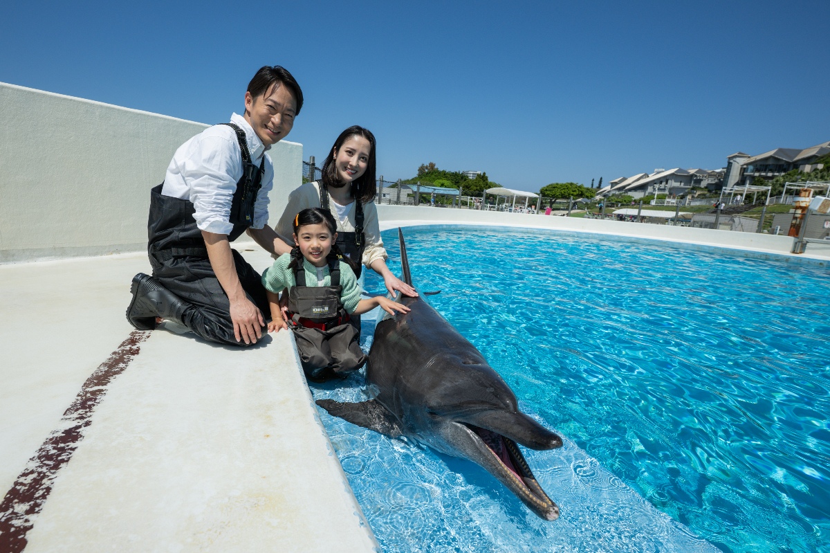 イルカ達が大接近♪