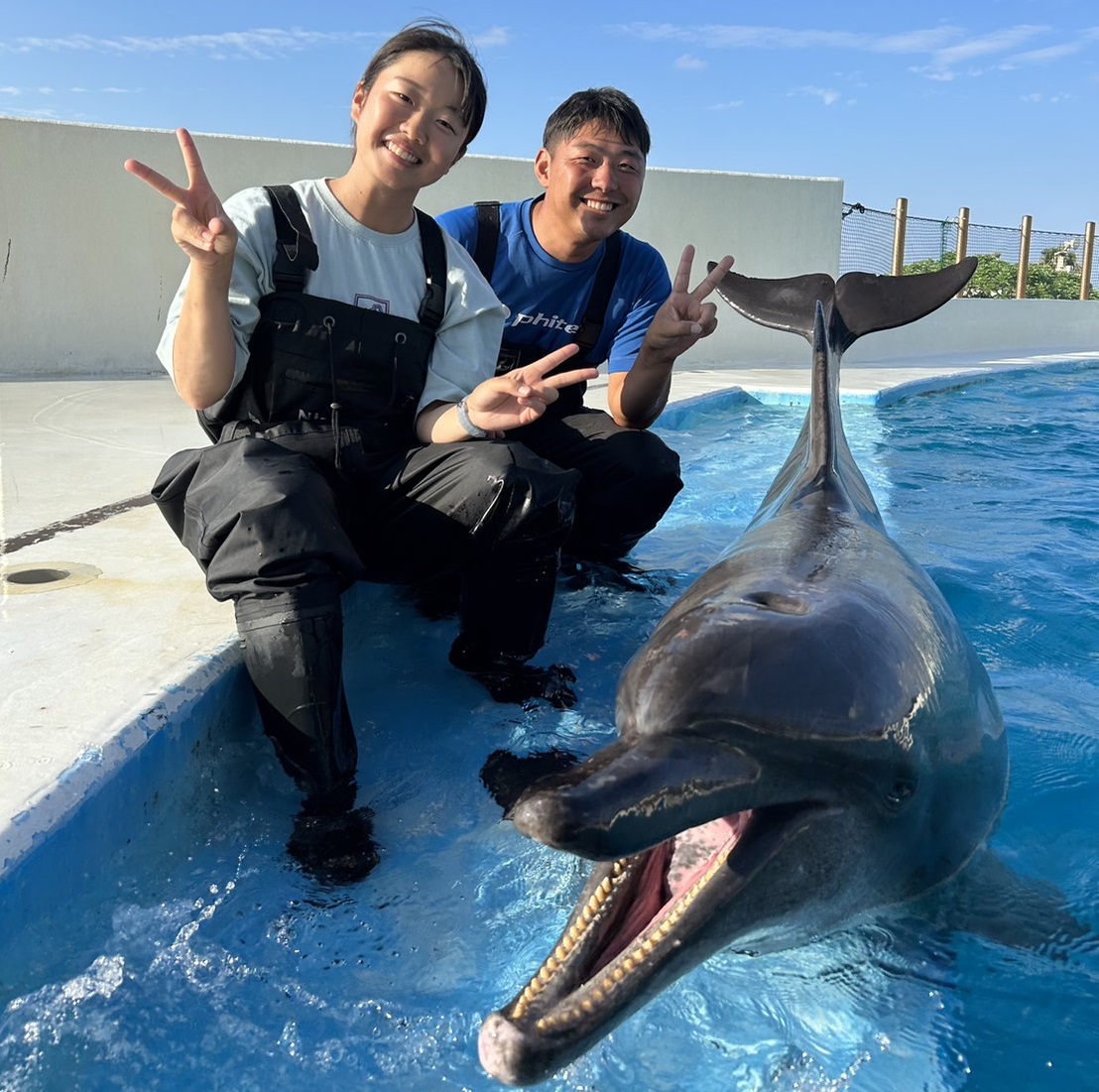 イルカ体験学習」開催!! | お知らせ | 沖縄美ら海水族館 - 沖縄の美ら