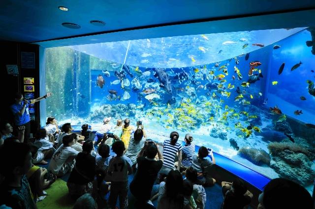 水族館節目介紹| 沖繩美麗海水族館- 沖繩美麗海世代相傳-