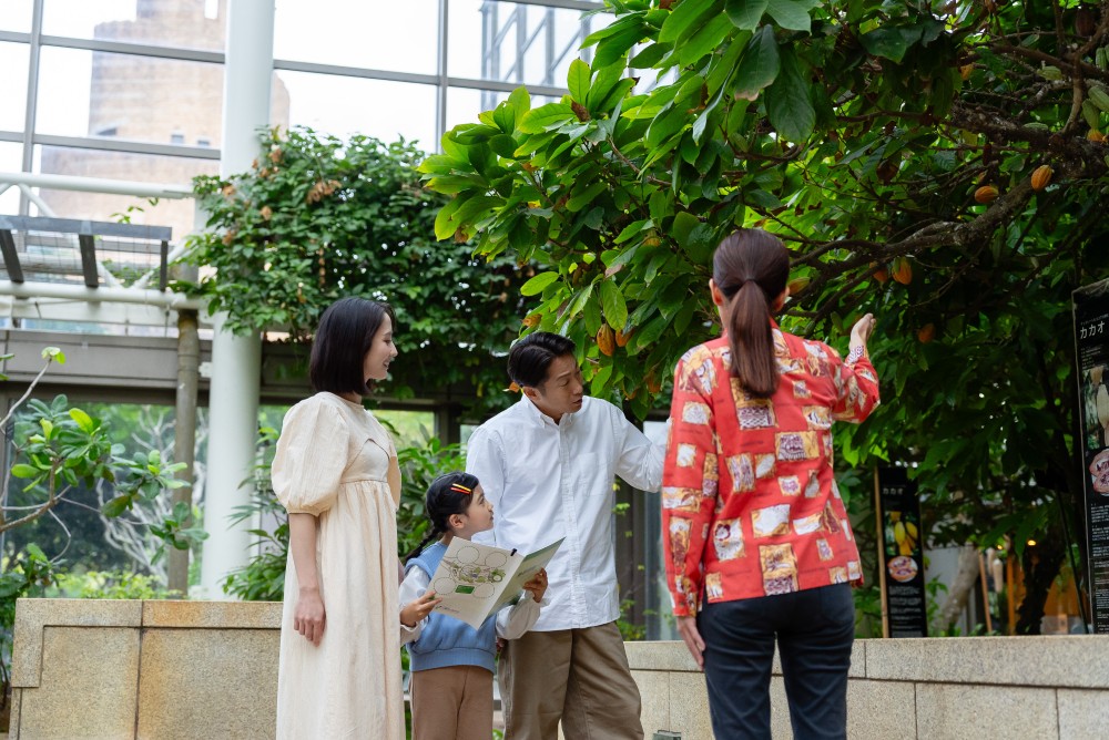 館内の植物をガイドが解説