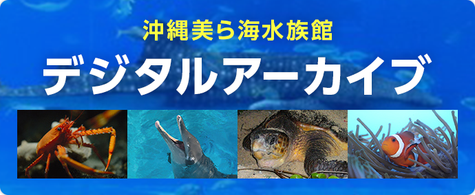 デジタルアーカイブ