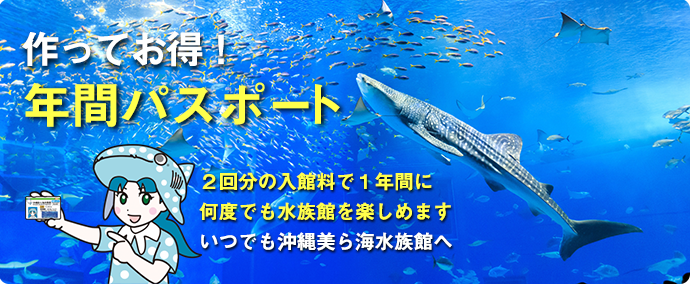 海 料金 ら 美 水族館 沖縄美ら海水族館の割引券とクーポン一覧(2022年版)