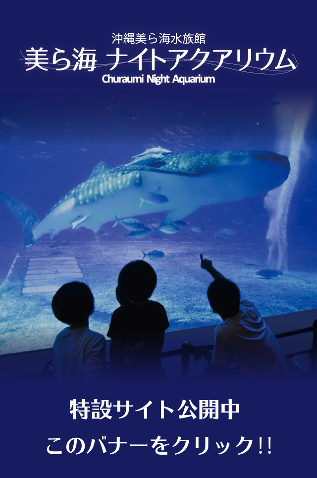 沖縄美ら海水族館 - 沖縄の美ら海を、次の世代へ。-