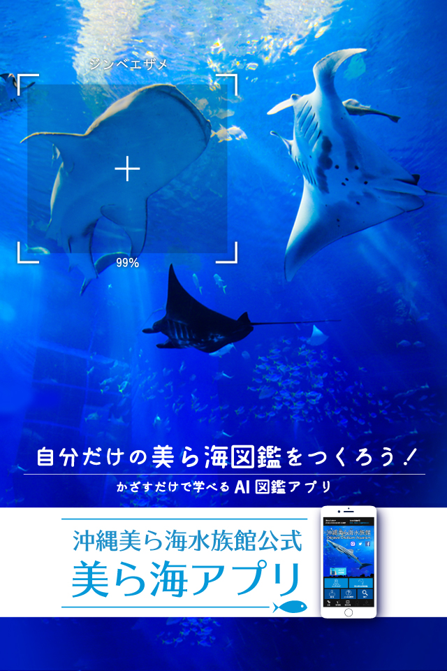 沖縄美ら海水族館 沖縄の美ら海を 次の世代へ