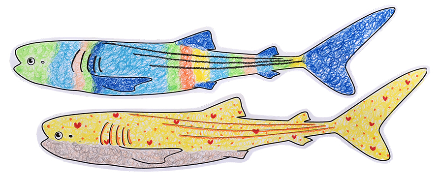 18gw特別企画イベント お知らせ 沖縄美ら海水族館 沖縄の美ら海を 次の世代へ