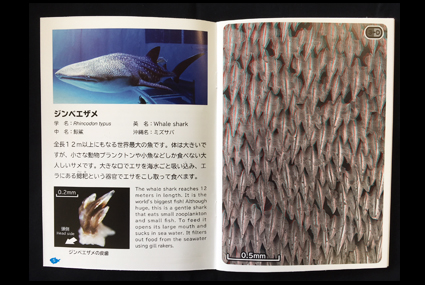 沖縄美ら海水族館オリジナル「サメのふしぎ とびだす！サメ肌図鑑」を販売！