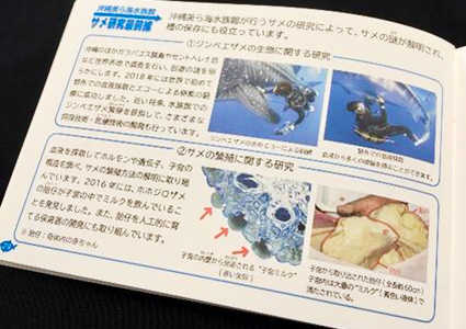 沖縄美ら海水族館オリジナル「サメのふしぎ」改訂版を販売！ 