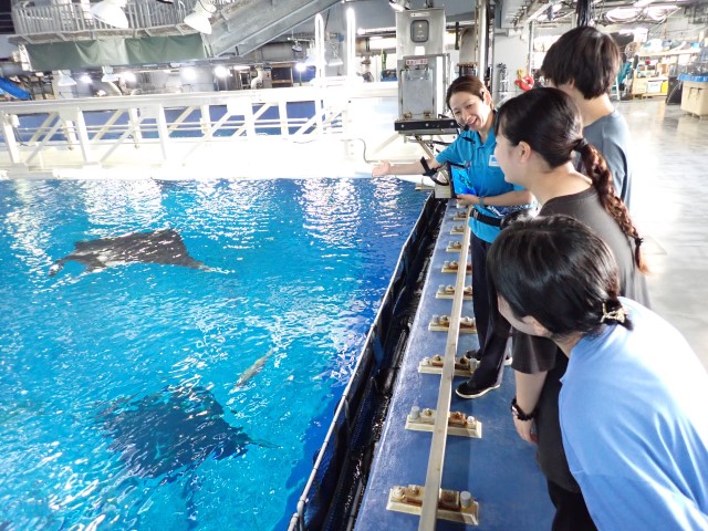 ジンタ飼育30周年スペシャルバックヤードツアー